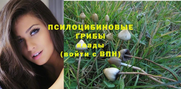 герыч Нязепетровск