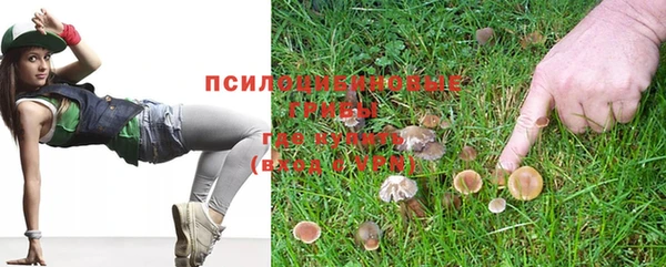 трава Нягань