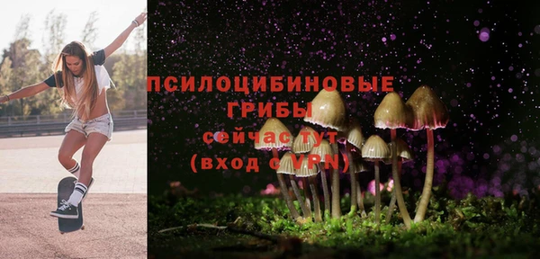 соль ск Новокубанск