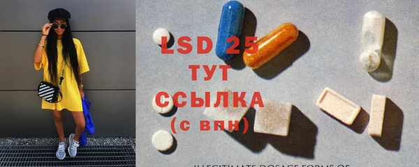 ПСИЛОЦИБИНОВЫЕ ГРИБЫ Няндома