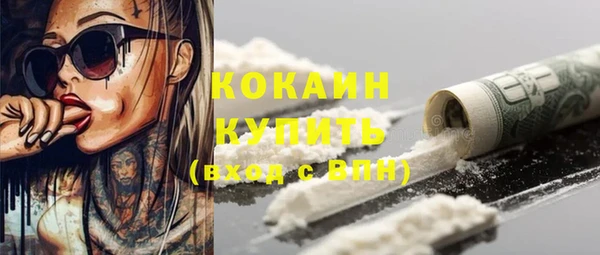 ПСИЛОЦИБИНОВЫЕ ГРИБЫ Няндома