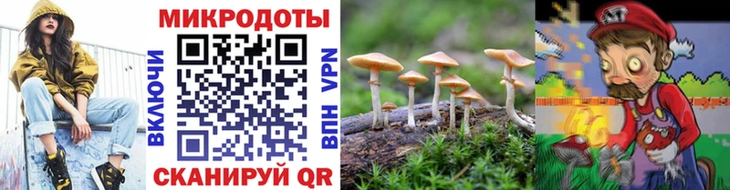 купить закладку Власиха Псилоцибиновые грибы мицелий